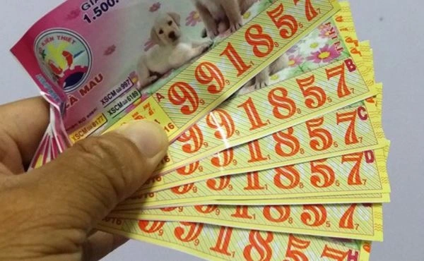 Xem sự thật về xổ số qua "Bảng mẫu 